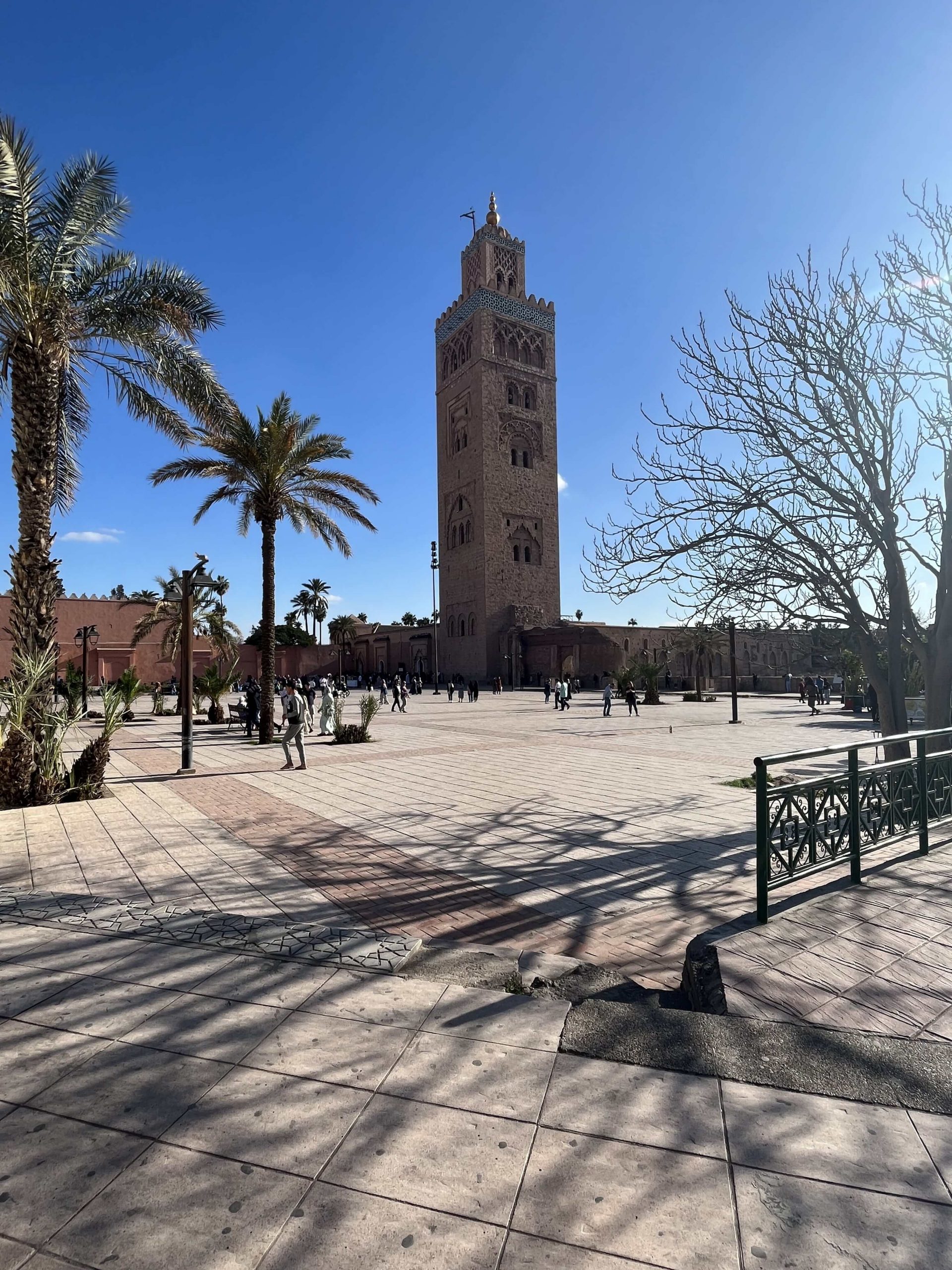 Magdas Food Programme Medina